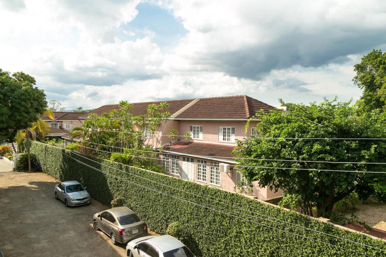 Choose To Be Happy At Seymour # 9 And #16 - Studio Apartments คิงส์ตัน ภายนอก รูปภาพ