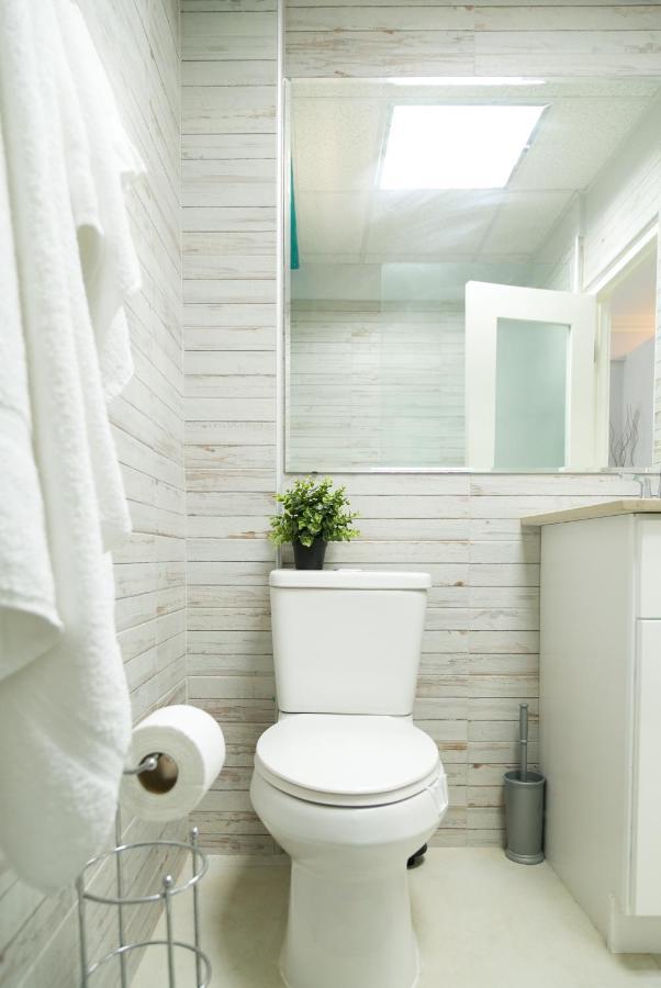 Choose To Be Happy At Seymour # 9 And #16 - Studio Apartments คิงส์ตัน ภายนอก รูปภาพ