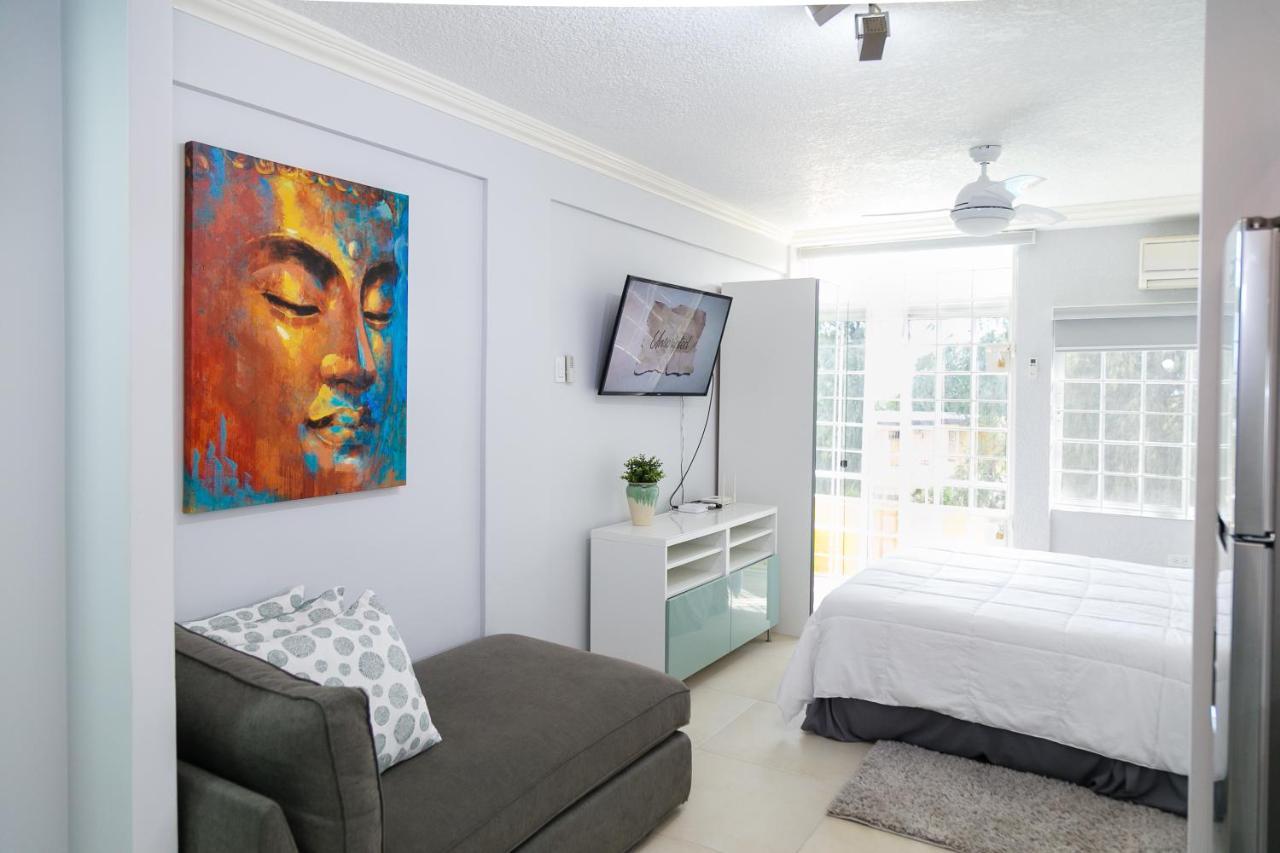 Choose To Be Happy At Seymour # 9 And #16 - Studio Apartments คิงส์ตัน ภายนอก รูปภาพ