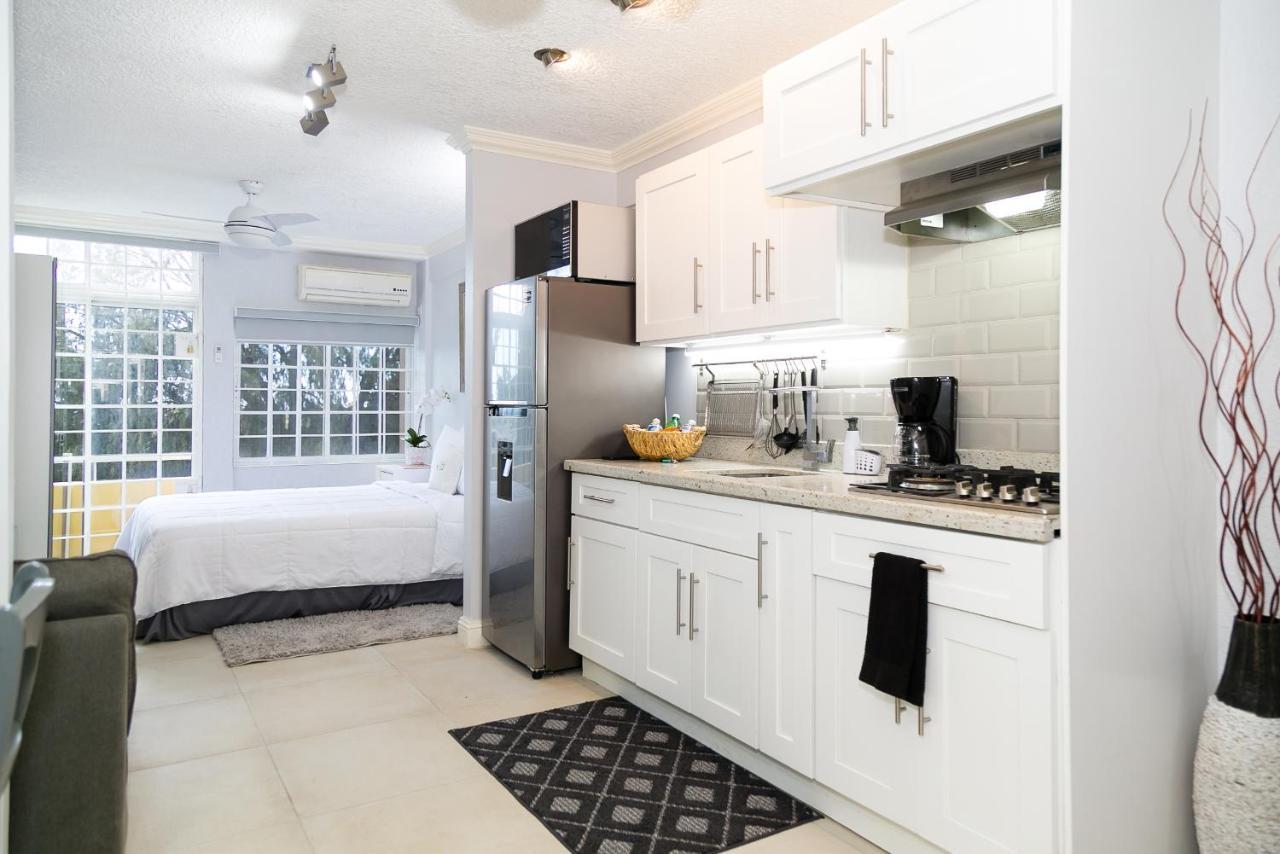 Choose To Be Happy At Seymour # 9 And #16 - Studio Apartments คิงส์ตัน ภายนอก รูปภาพ